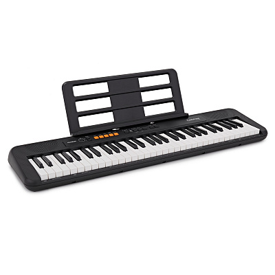 Синтезатор с автоаккомпанементом Casio CT-S100